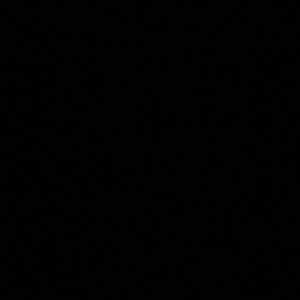 Meet your Posher, Lil